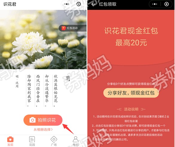 识花君送最高20元红包