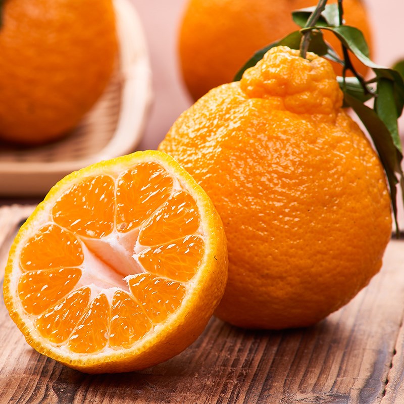 罗克珊新鲜当季椪柑丑橘5斤装